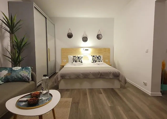 Confort Studio 1 City Center